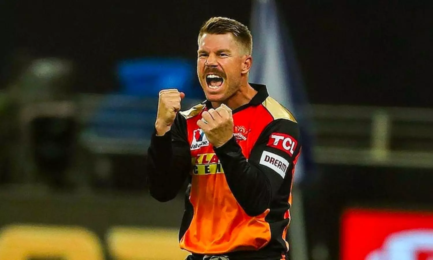 David Warner