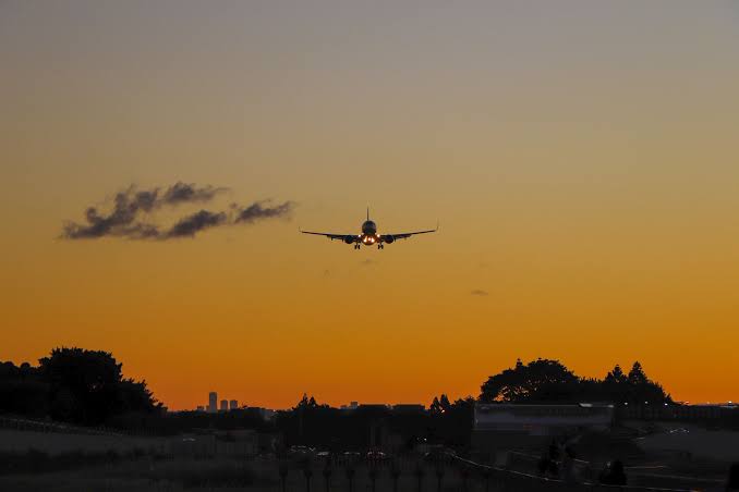 Flight